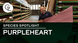 Purpleheart Wood Veneer Sheets