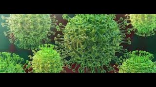 Corona virus sa kasi bachi