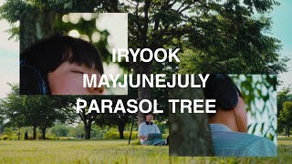 [PARASOL TREE] OFFICIAL VISUALIZER
