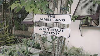 Hey Guys, NISA Visited the The JAMES TANG Antique + curio SHOP