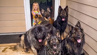 7 Dogs Raise Little Girl As Their Pup | Cuddle Buddies
