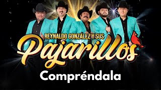 Compréndala [Live] - Reynaldo González y sus Pajarillos - Video Oficial
