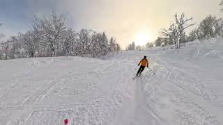 Hokkaido restort tellie (Henry)