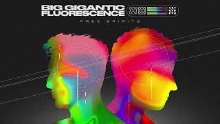 Free Spirits - Big Gigantic (Visualizer)