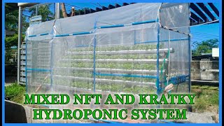 SIMPLE DFT HYDROPONICS  SYSTEM