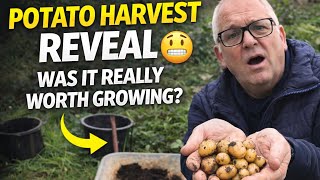 Potato Harvest Reveal – Was It Really Worth Growing?