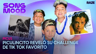 ¿LOS PICUS SON FANS DE PESO PLUMA? | Song Mood