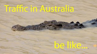Traffic in Australia be like...