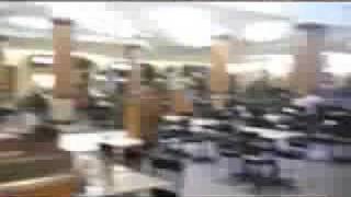 Transcendentalism... At The Mall Part Two