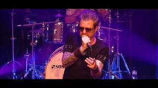 Diego, libre dans sa tête - Renaud Hantson hommage à Michel Berger (France Gall, Johnny Hallyday)