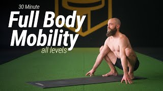 30 Minute Full Body Mobility Workout | Beginner to Advanced | Follow Along, No Talking