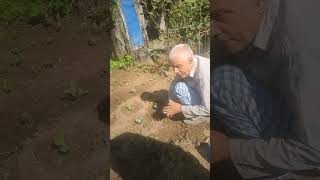 Working in FarmHouse / Garden (करेसा बारीमा काम गर्दै बाबा) २०८१ को वडा दशैँको भोलिपल्ट (2081/06/27)