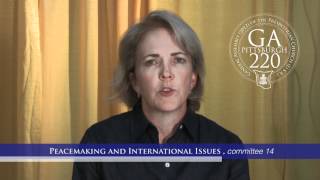 Peacemaking and International Issues, committee 14 - GA220 PC(USA)
