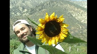 Fiji Blue - Hug (Official Lyric Video)