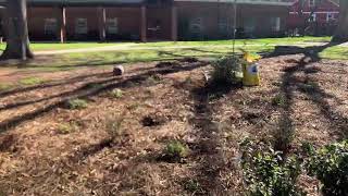 Betty Johnson Memorial Garden Part 1-- Saturday, March 4th, 2023