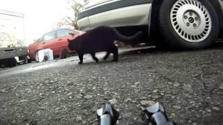 Street Cat Photo Booth: Vancouver Prototype Test