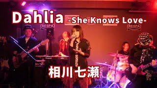 Dahlia - She Knows Love - (Cover) / 相川七瀬コピーバンドCHEERS Live 2025.3.16