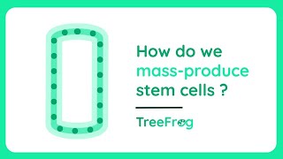 C-Stem™: How do we mass-produce stem cells ? I TreeFrog Therapeutics