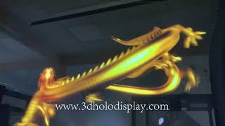 3D Holographic  Display Hologram for Large Scale