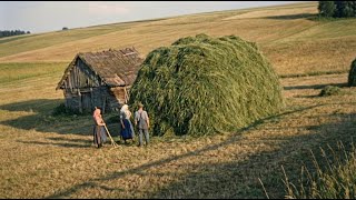 How Livestock Was Fed Before Modern Agriculture | Traditional Fodder Carrying with the Krauttuch