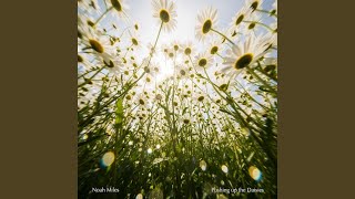 At The End of the Day