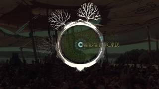Noya Project - Fresh Water