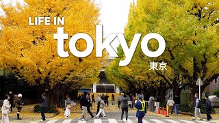 Life in Tokyo｜A Day of Cafes, Vintage Finds & Books in Tokyo📚☕️