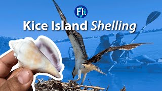 Paddle Out to Kice: Beautiful Island Walk & Shelling
