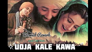 Gadar - Udd Jaa Kaale Kaawa {Slowed + Reverb} Emotional Lo-fi Song ( VICTORY )