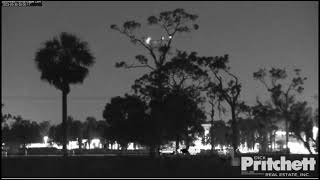 E21 Encounter With Owl - SWFL Eagles - March 30, 2023