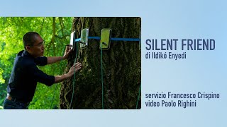 SILENT FRIEND di Ildikó Enyedi / Venezia 82 / Recensione