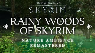 Rainy Woods of Skyrim | Skyrim Nature Ambience Remastered | No Midroll Ads, No Music [3 Hrs]