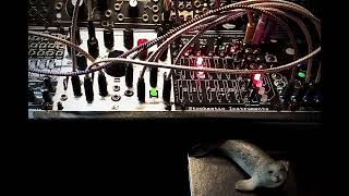 SIG, Xaoc Odessa, Desmodus Versio- ‘Sanity Clause Invoked’- RtB #modularsynthesis #sig #eurorack
