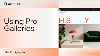 Showcase photos and videos with Pro Galleries | Wix Studio