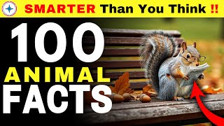 100 Animal Facts [ Part 01 ] Will Change How You See NATURE