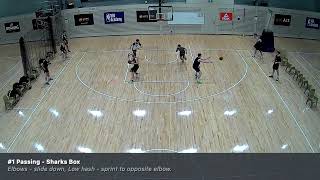 Sharks box - passing drill