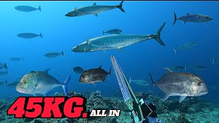 GREAT HAUL DAY! || SPEARFISHING PHILIPPINES || TREVALLIES/KING MACKEREL/DT || BANTON ROMBLON😱😱😱