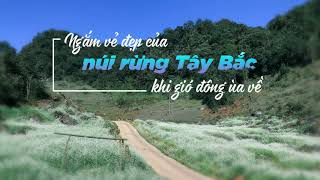 Phuc 1