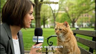Secrets of Cats 🐾 — AI Reveals All (Part 3)