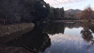 Kyoto 5
