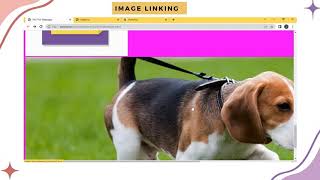 FLITE - HTML & CSS