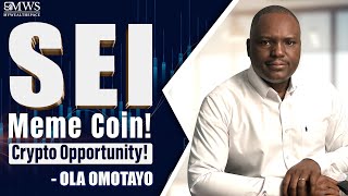 SEI Meme Coin Explained & Stock Trade Analysis: Your Ticket to Crypto Opportunities! #cryptocurrency
