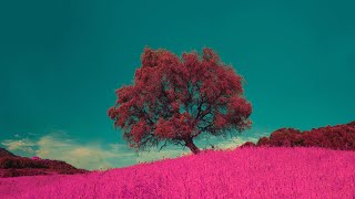 Dan Sieg - Erko [Silk Music]