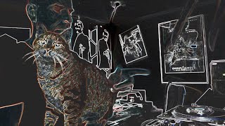 HBFR - boogie vibes3 - Electrifying Funky Drunkencode 28.06.25