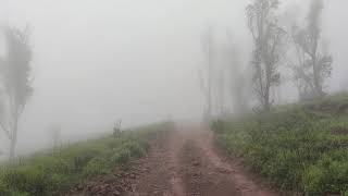 Adventures #Forest trip #Thar