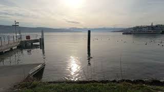 Zurich by Bike Timelapse on February
