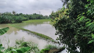 Lanskap Sawah dan Kebun di Kampung Sempur Desa Kadu Kecamatan Curug Tangerang