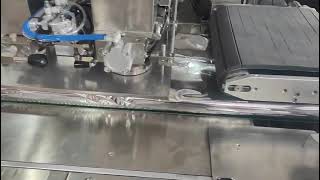 Big Size Secondary Package Large Horizontal Packing Machine
