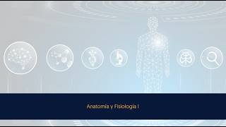 Anatomía y Fisiología I
