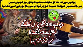 India police say rats ate 200kg Drugs چوہے 200 کلو چرس کھا گئے، منشیات اسمگلنگ کا مرکزی ملزم رہا